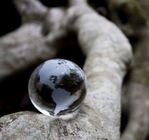 iStock_000012476140XSmall