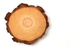 iStock_000005332420XSmall