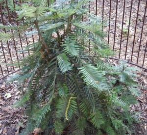 13781FC1-37CA-4E92-A674-70DECBD4B2AF