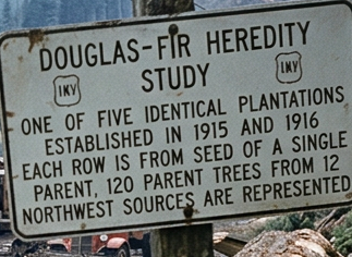 Workers cutting and loading Douglas-fir logs at a forestry study site with a sign explaining the study